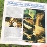 Royal Mint BU 1983 Year Set In Original Folder Image 4