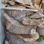 Firewood logs - Need Splitting Image 10