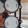 Roland V-Drums TD-25 Electronic Drum Set Kit Image 5