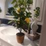 Artificial lemon tree Image 2