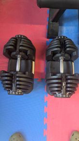 gym equipment - barbell - squat rack - dumbbells