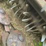 Mower Image 2