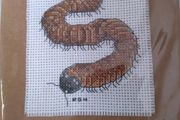 Handmade X-stitch Greeting Card:- Millipede