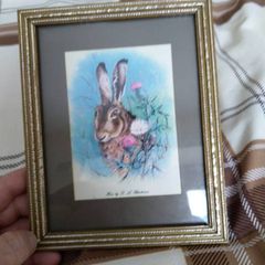 picture with rabbit old picture signed .
