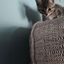 Kittens Image 4