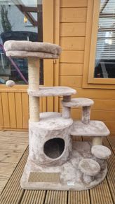 cat tree