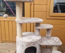 cat tree