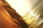 Mark Pritchard  |  Under The Sun