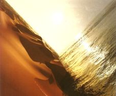 Mark Pritchard  |  Under The Sun