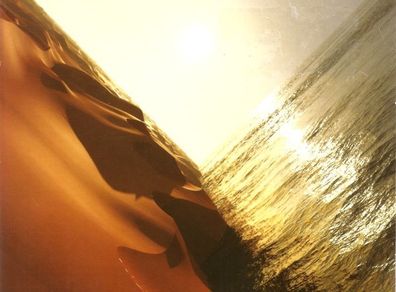 Mark Pritchard  |  Under The Sun