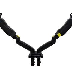Dual monitor with arms
