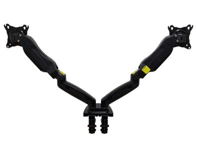 Dual monitor with arms