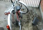 bicycles