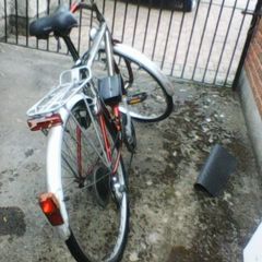 bicycles