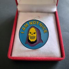 Skeletor "I Am Not Nice" Enamel Pin - Masters of the Universe Badge Brooch He-Man