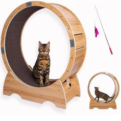 CatWheel