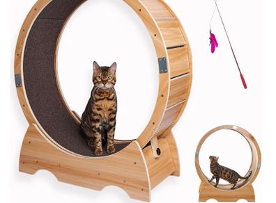 CatWheel