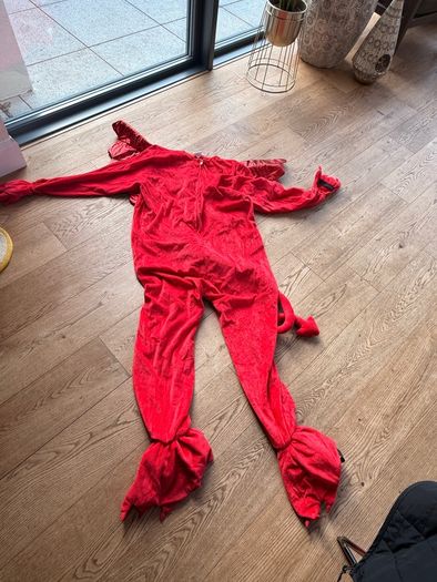 Dragon costume
