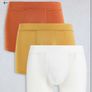 Gilly Hicks Boxers Bundle BNWT Image 8