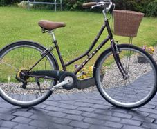 Ladies Dawes Duchess. No Offers