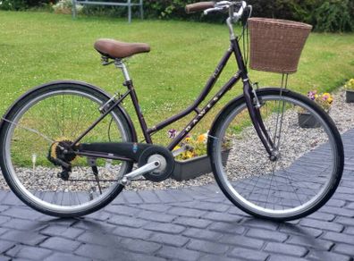 Ladies Dawes Duchess. No Offers