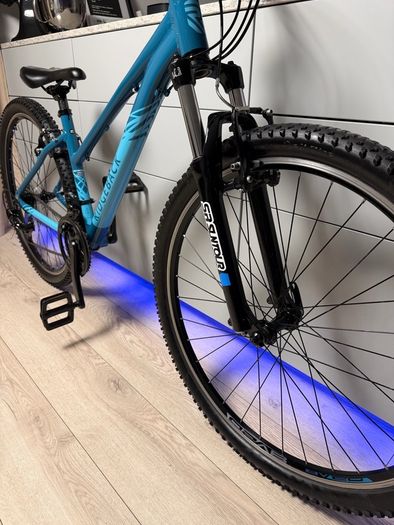 Ridgeback Terrain 2 Bike