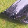 Genuine Toyota Landcruiser Front Bumper Image 4