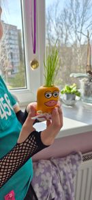 Buzzy Manukappi Pig Grow Pot & Seeds