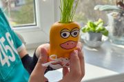 Buzzy Manukappi Pig Grow Pot &amp; Seeds