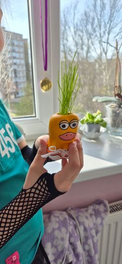 Buzzy Manukappi Pig Grow Pot & Seeds