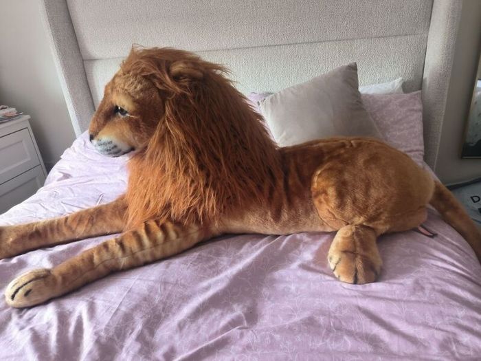 Lion teddy