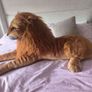 Lion teddy Image 2