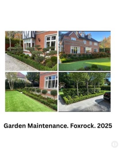 Professional Garden Maintenance - Dublin & North Wicklow