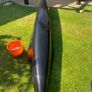 kayak Image 7