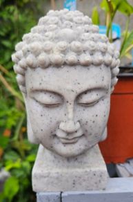 Buddha Head - Maynooth