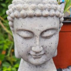 Buddha Head - Maynooth