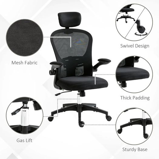 Office Chair Multi Adjustable with Lumbar Support, Headrest
