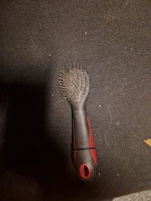 dog brush