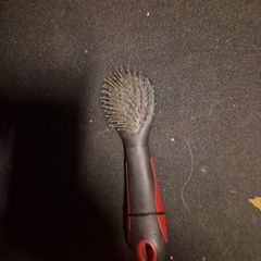 dog brush