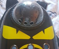 pet carrier