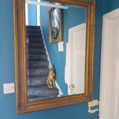 mirror
