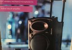 10 Inch PA Speaker with Wireless Neckband Microphone
