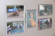 personalised fridge magnets