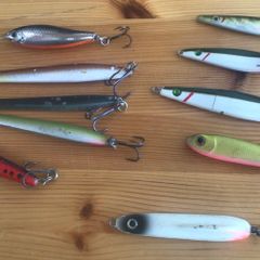 Westin Seatrout Lures