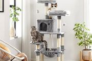 New Cat Tower Tree Play Area - FREE Delivery