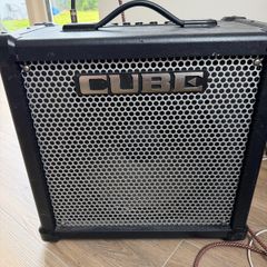 Roland Cube 80GX