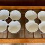 8 Vintage French White Porcelain Scallop Shell Dishes CNP France Image 2