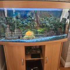 Fish tank for sale