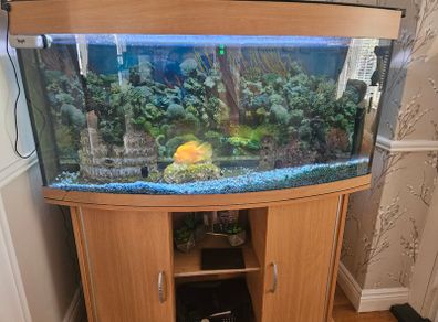 Fish tank for sale
