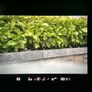 Nikon D750 + 50mm f1.8 AF-D Image 5